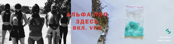 гашик Волоколамск