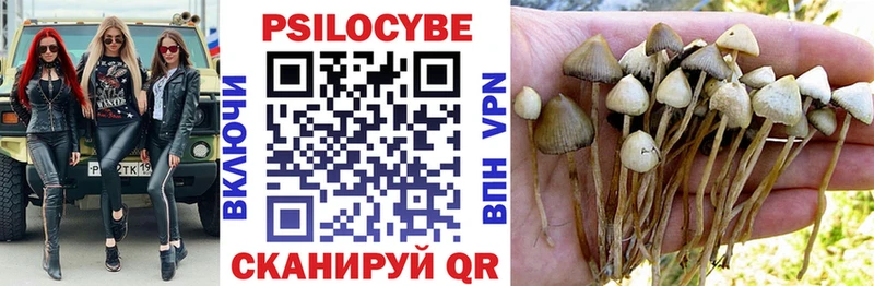 дарнет шоп blacksprut как войти Псилоцибиновые грибы MAGIC MUSHROOMS Кисловодск